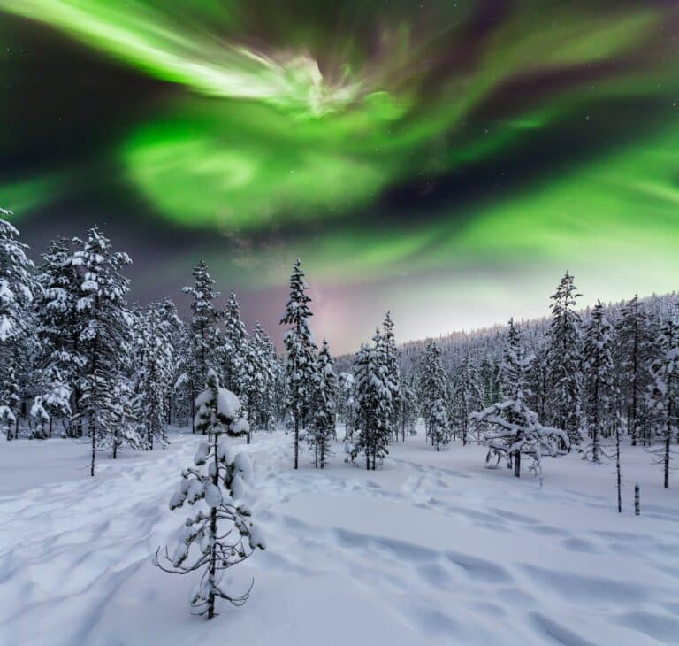 Winterwald bei Nacht unter dem Nordlicht. Finnland