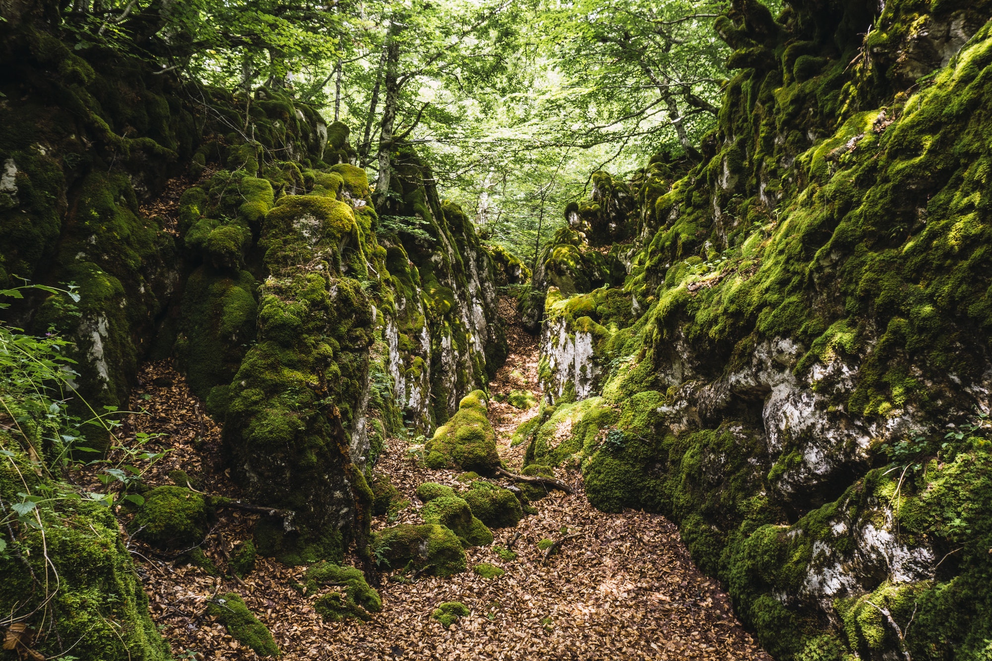 Magische Orte im Wald des Berges Aizkorri