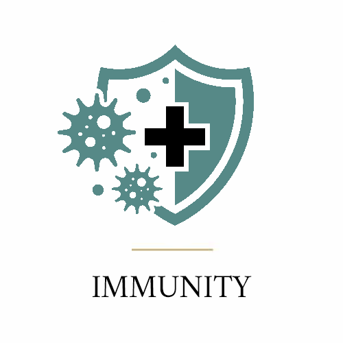 Ergänzungen für das Immunsystem